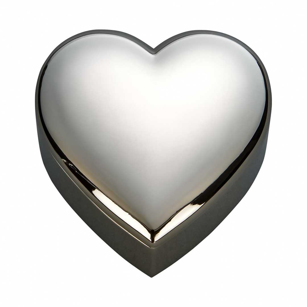 Heart Shaped Box