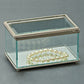 Rectangular Glass Box With Hinged Cover, 5.25"