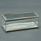 Rectangular Glass Box With Hinged Cover, 8"