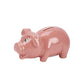 Ceramic Pig Bank