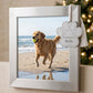 Dog Paw Ornament w/White Tassel