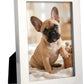 Montauk 5 inch x 7 inch photo frame with a bright metal finish and classic design, perfect for displaying cherished photos and can be personalized for a special touch.