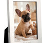 Montauk 5 inch x 7 inch photo frame with a bright metal finish and classic design, perfect for displaying cherished photos and can be personalized for a special touch.
